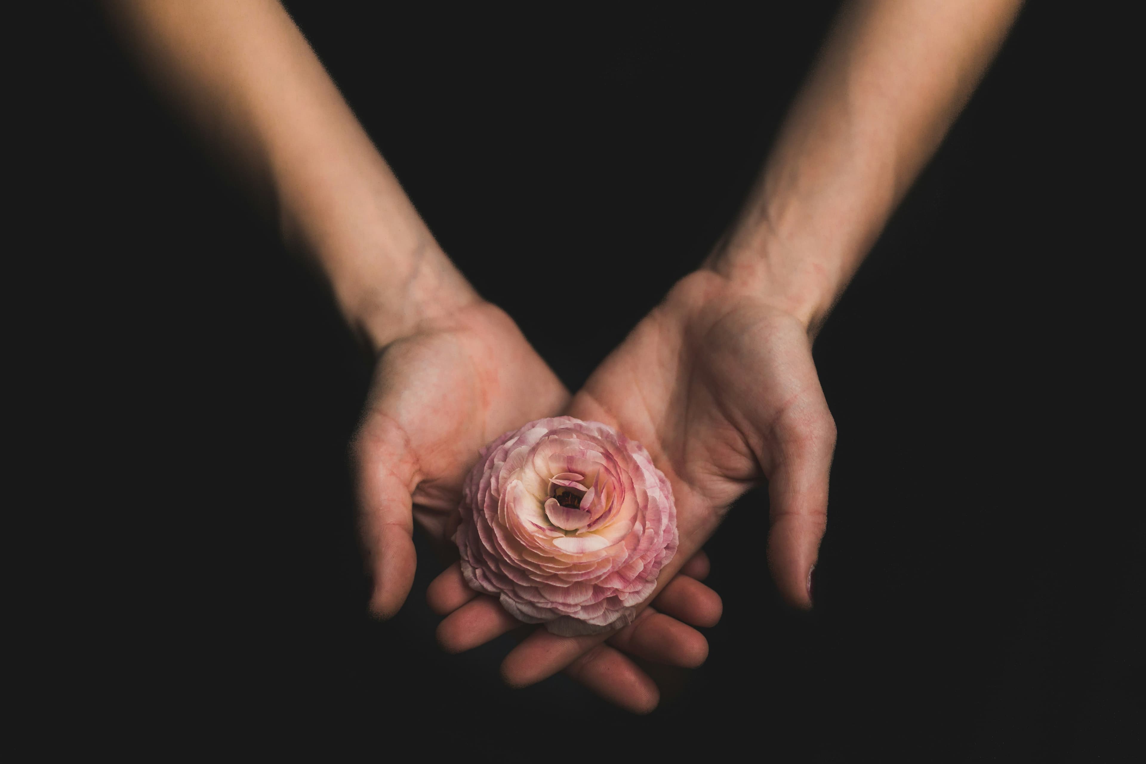 hands holding flower